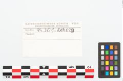 Etikett zu Eisenkonvolut (NHMW-PRAE-094301)